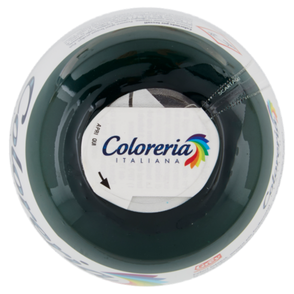 COLORERIA Verde Foresta 350 gr.