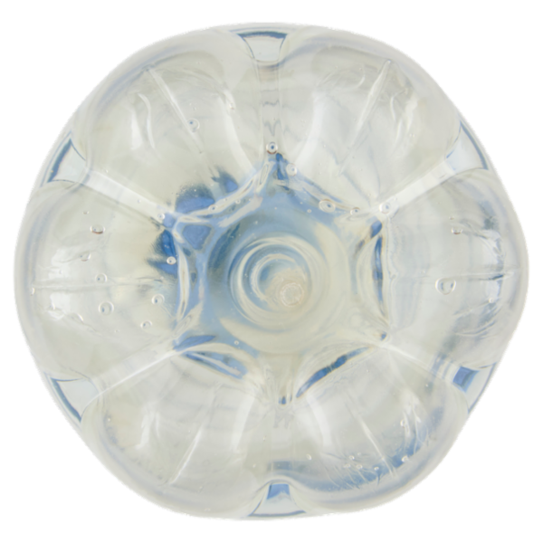 Fonte Guizza Frizzante PET 1,5 L