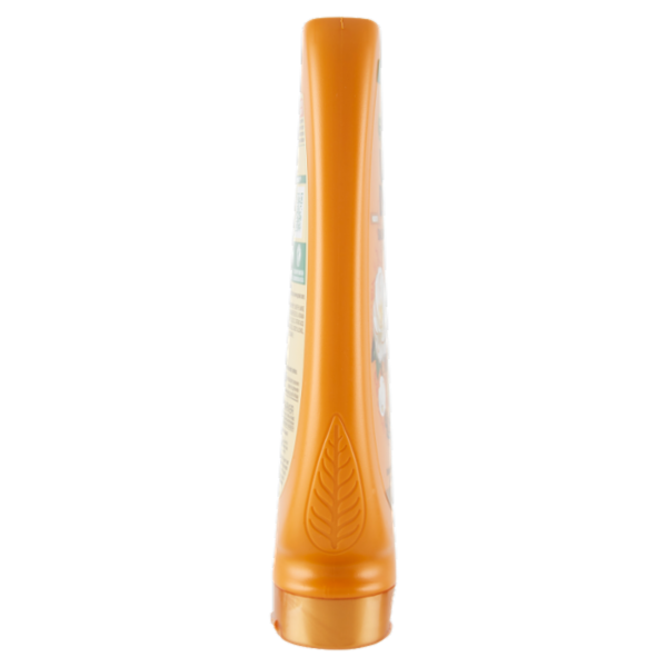 Garnier Ultra Dolce Balsamo Meraviglioso all'olio d'argan e di camelia per capelli secchi, 250 ml