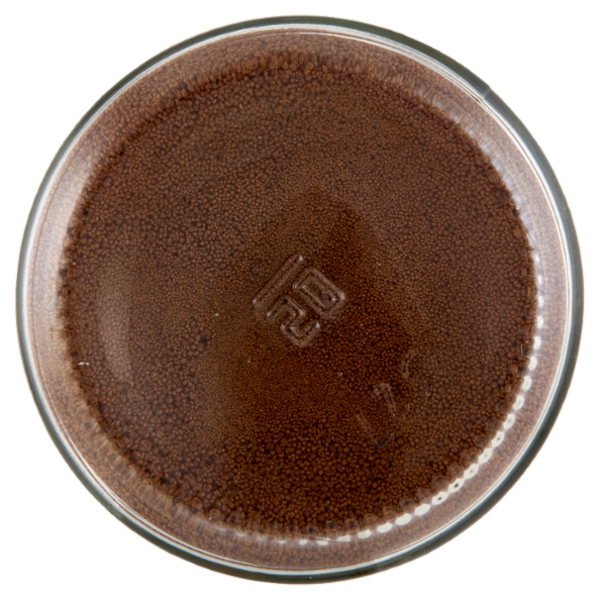 Crastan Bio Cicoria Solubile Biologica 100 g