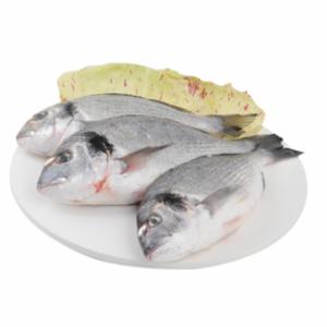 Orate 300/500 Allevamento Taranto