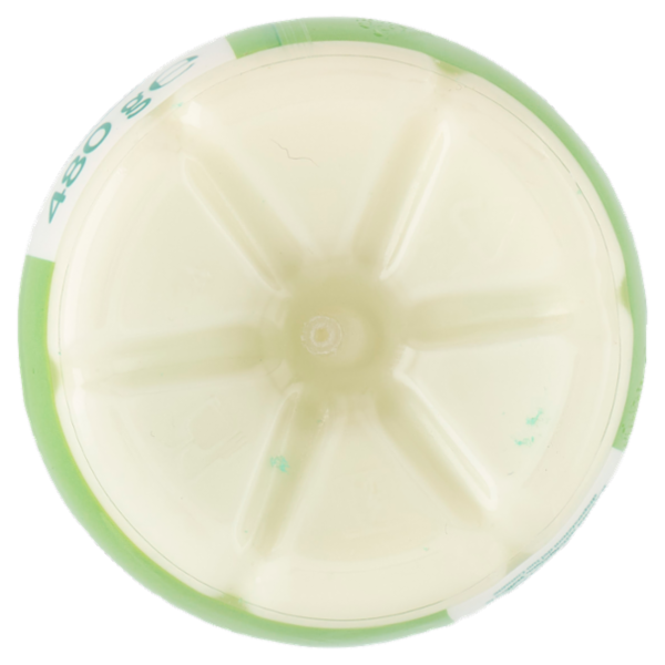 Viva Latte di Kefir 480 g