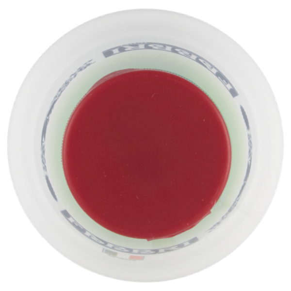 Fabbri chiara frutta 900 g