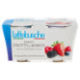 lattebusche yogurt Frutti di Bosco 2 x 125 g