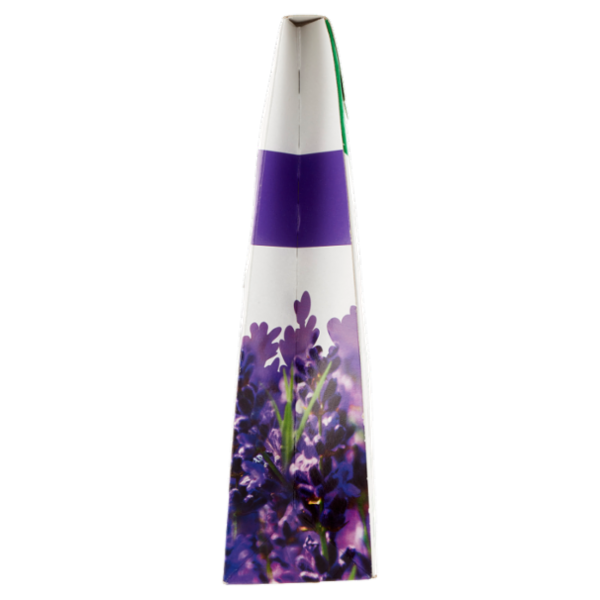 Air Wick Essential Oils Lavanda in Fiore Profumatore a Bastoncini 25 ml