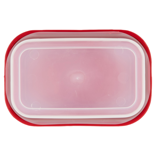 Selex Contenitore per Alimenti Freezer/Frigo Rettangolare 0,55 L
