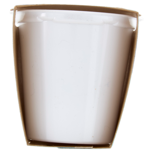 Selex Yogurt Magro Vaniglia 2x125 g