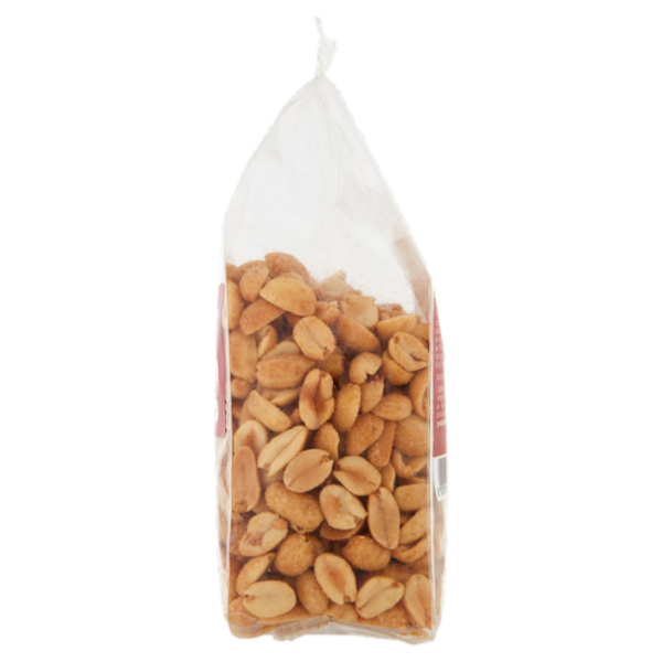 Consilia Frutta Secca Arachidi Dorate e Salate 200 g
