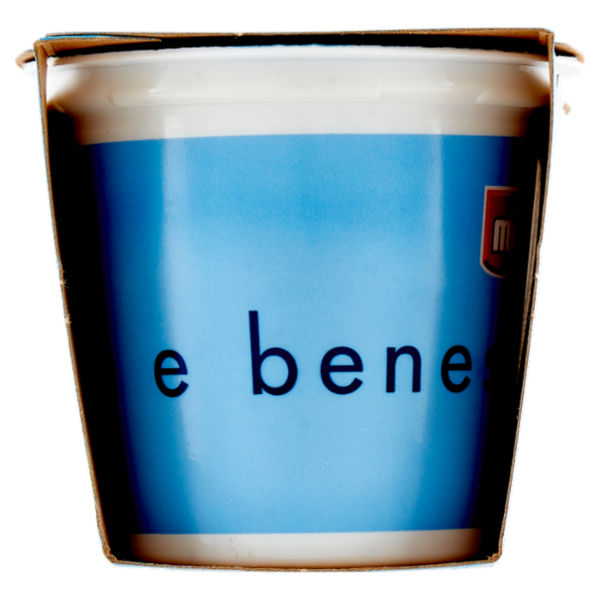 müller Yogurt Zero% Grassi Pistacchio 2 x 125 g