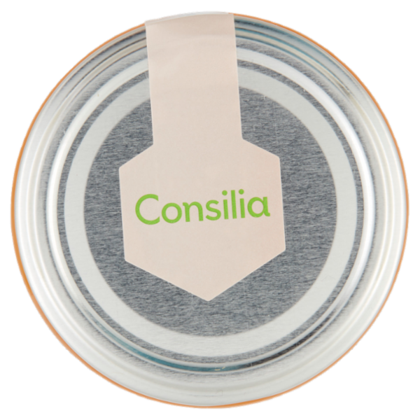 Consilia Miele Millefiori Biologico 400 g