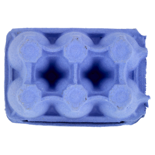 IL GIGANTE 6 Uova da allevamento a terra Uova Medie