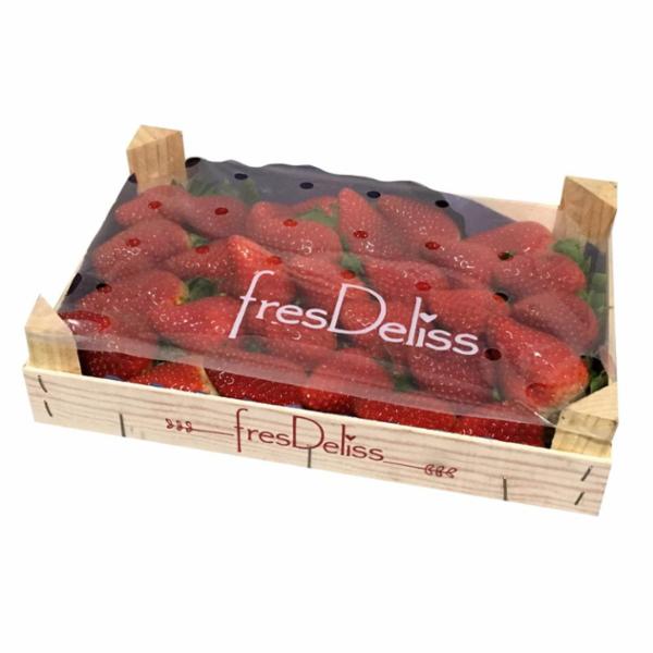 Fragole Kg.1