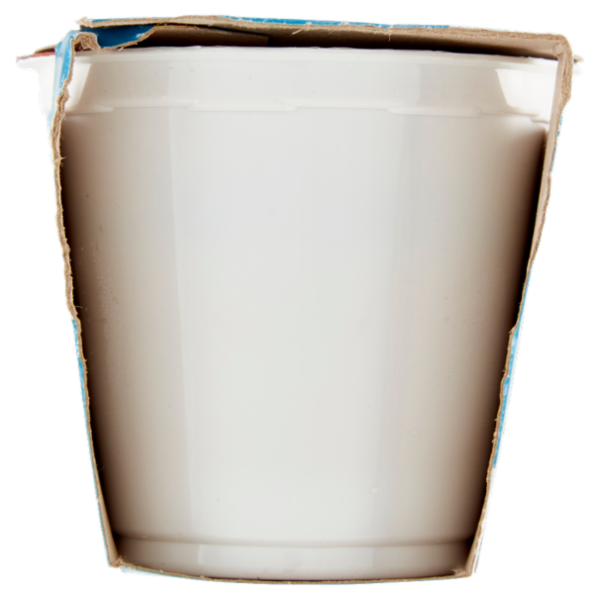 IL GIGANTE Yogurt Intero Nocciola 2 x 125 g