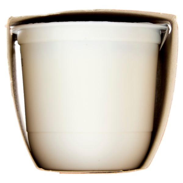 ZYMIL Alta Digeribilità Senza Lattosio Yogurt al Cocco in pezzi 2 x 125 g