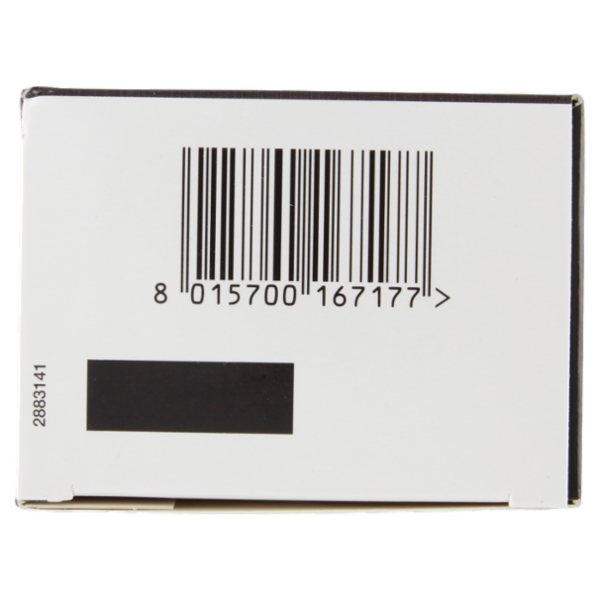 Palette 6_1 Biondo Scuro Naturale