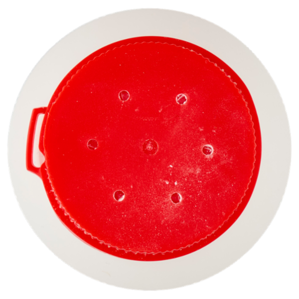 VAPE Scarafaggi e Formiche Insetticida in Polvere Pronta all'Uso 250 g