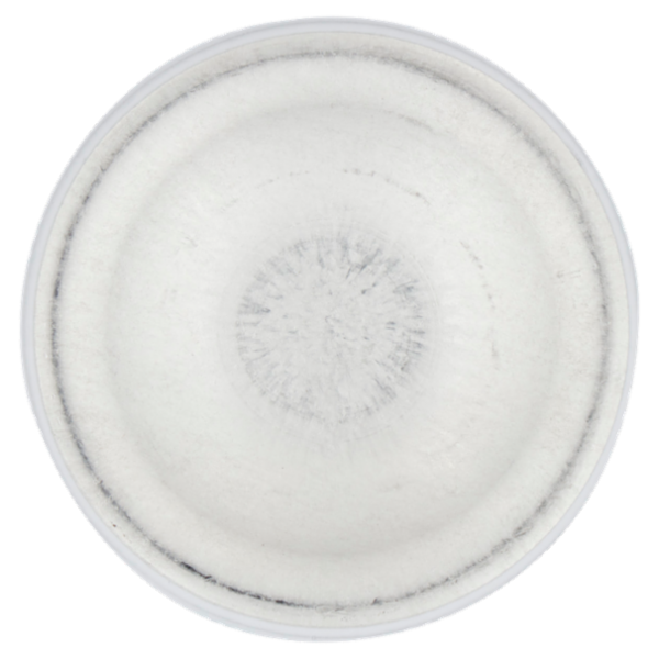 Nivea Men Sensitive Schiuma da Barba 200 ml