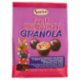 Sorini Fruit Crunchy Granola 200 g