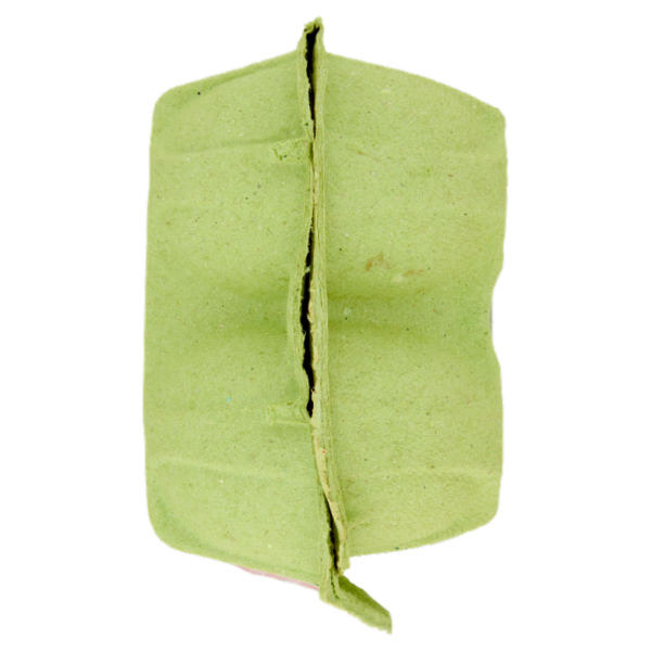 Aia 6 Uova Fresche da allevamento a Terra 330 g