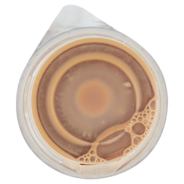 NESCAFÉ Latte Espresso 190 ml