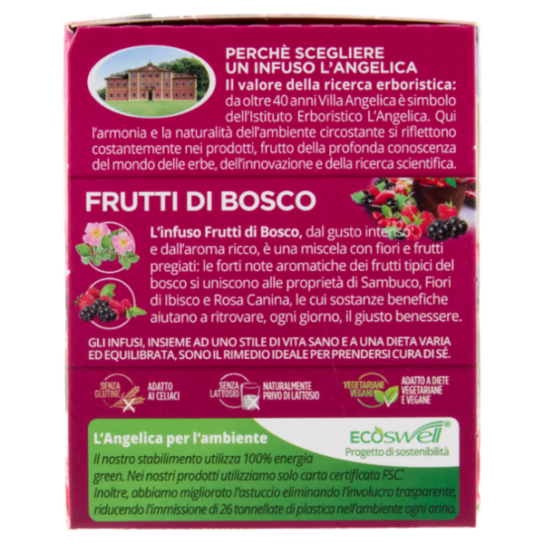 L'Angelica Passione di Frutta Frutti di Bosco 15 Filtri 28,5 g