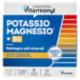 Laboratoires Vitarmonyl Potassio Magnesio* + B6 20 Bustine 64 g
