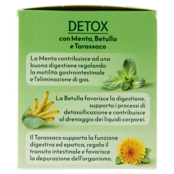 Bonomelli Detox Tisana per Infusione 16 Filtri 32 g