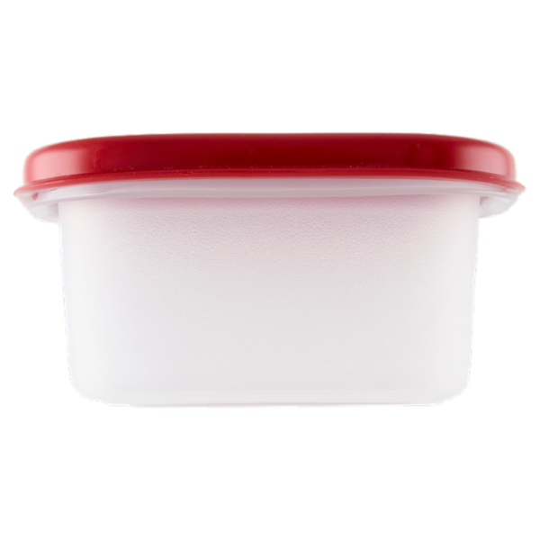 Selex Contenitore per Alimenti Freezer/Frigo Rettangolare 0,15 L