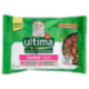ultima Expert Nutrition Cat junior 1-12 Mesi con Pollo, con Salmone in Salsa 4 x 70 g