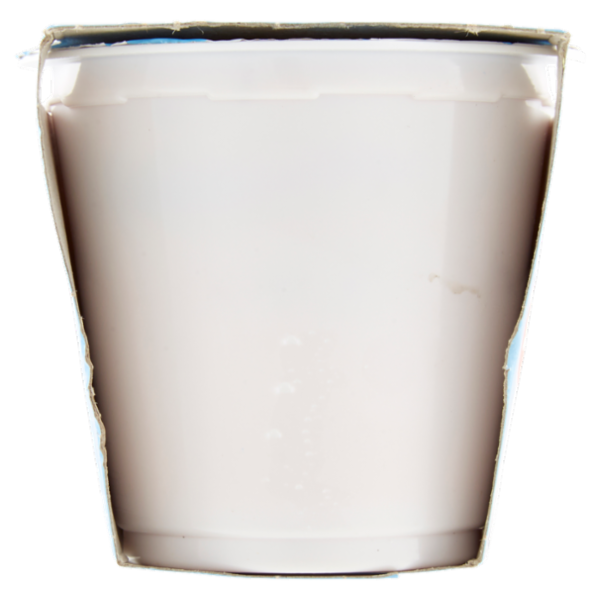 Selex Yogurt Magro Fragola 2x125 g