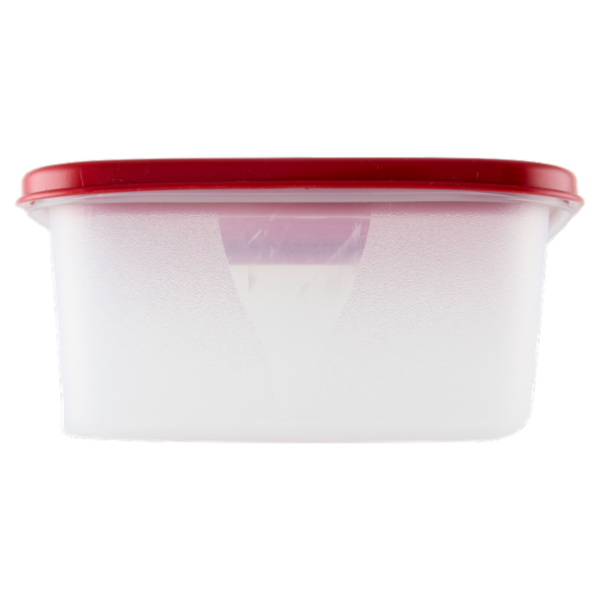 Selex Contenitore per Alimenti Freezer/Frigo Rettangolare 1,25 L