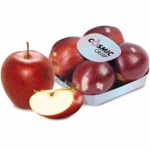 MELE COSMIC CRISP GR.900