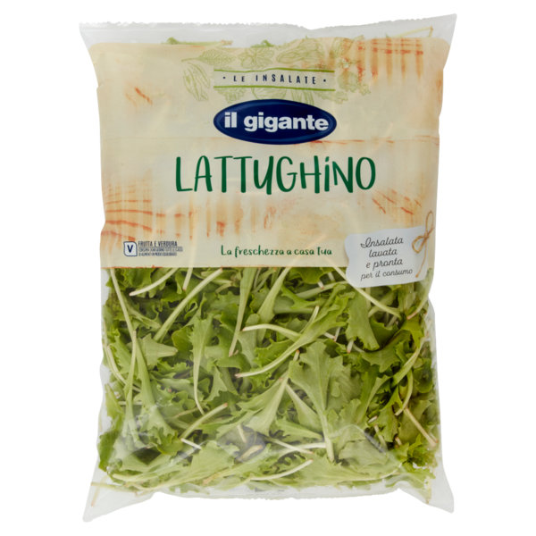 IL GIGANTE le Insalate Lattughino 180 g