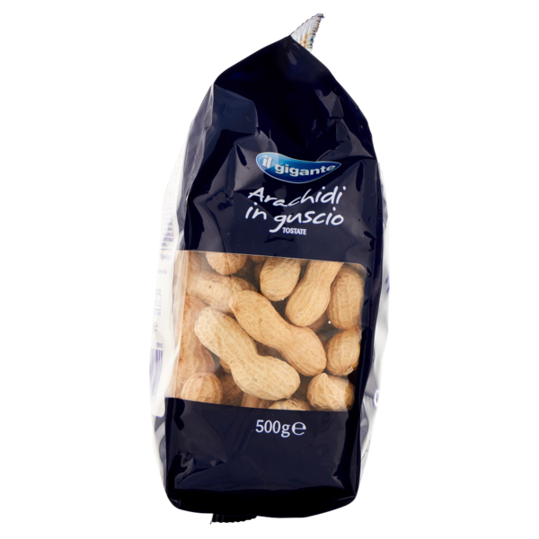 IL GIGANTE Arachidi in guscio Tostate 500 g