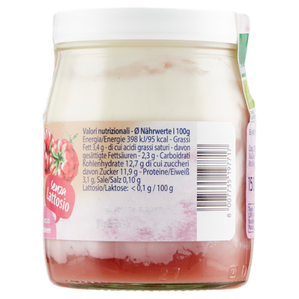Sterzing Vipiteno bio yogurt da Latte fieno lamponi senza Lattosio 150 g