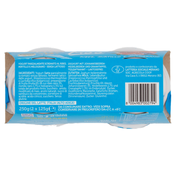 bella vita free Senza Lattosio Ribes, Mirtillo e Melograno 2 x 125 g