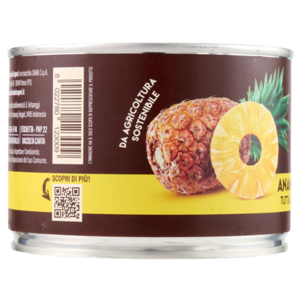 Fattoria dei Sapori Ananas allo Sciroppo 410 g
