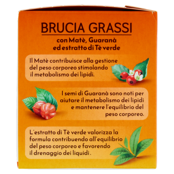 Bonomelli Brucia Grassi Tisana per Infusione 16 Filtri 32 g