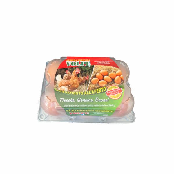 Volpe Uova Allevate All'aperto L X 6