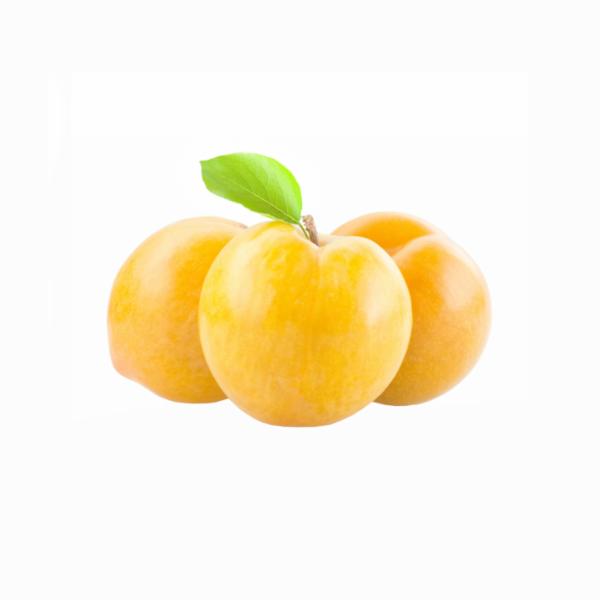 Susina Gialla Sud Africa