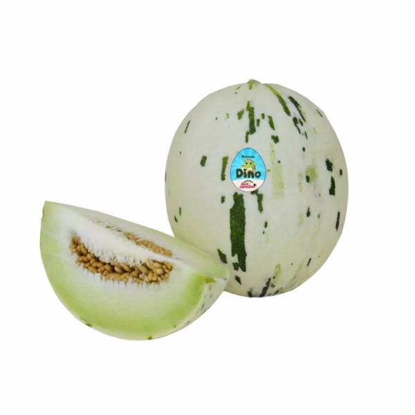 Melone Dino