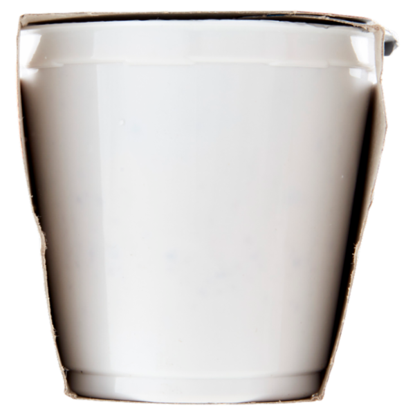 Selex Vivi Bene Yogurt con Bifidus con Avena e Noci 2x125 g