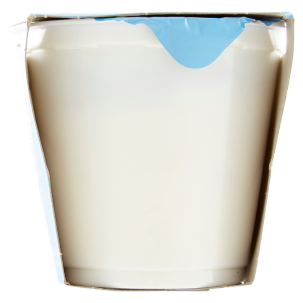 Selex Yogurt Magro Ananas 2x125 g