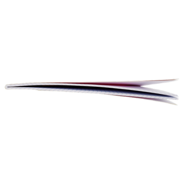 Selex Quaderno Maxi Formato A4 Fogli 40 Quadretti 5 mm