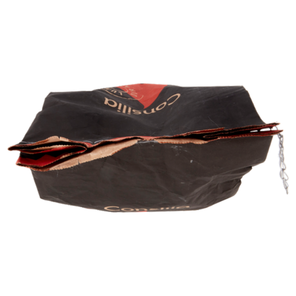 Consilia Carbone di Legna 3 kg