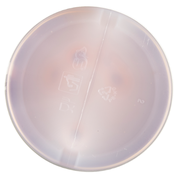 Fabbri mixy Fruit Pesca Bianca 1 L