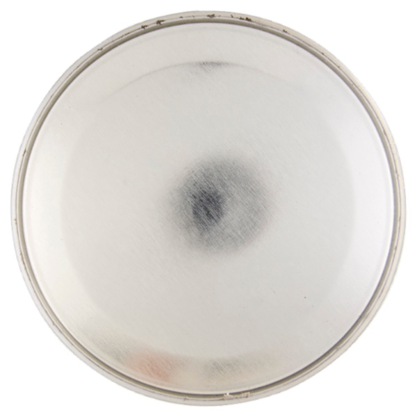 Zig Zag Insetticida Aerosol Profumato Eucaliptolo e Mentolo Mosche, Zanzare Insetti Volanti 500 ml