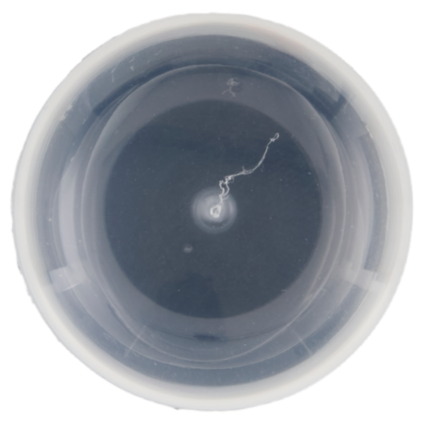 Intesa Pour Homme Schiuma da Barba Idratante con Olio di Avocado e Prebiotico 50 mL