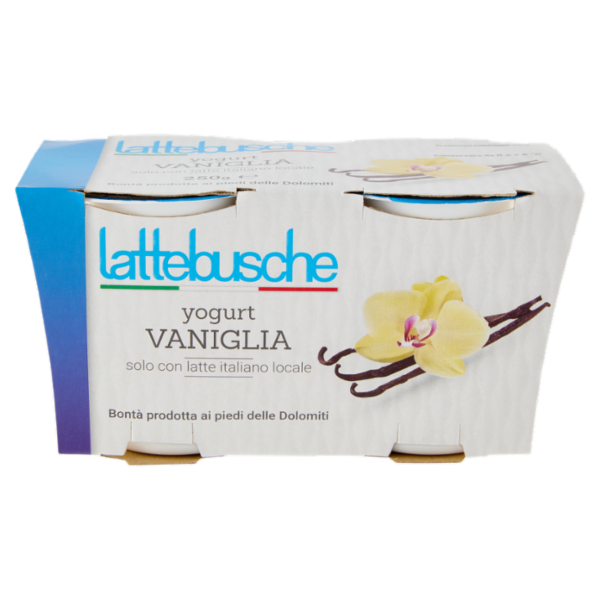 lattebusche yogurt Vaniglia 2 x 125 g