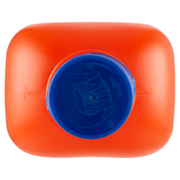 Selex Casa Bella Disgorgante Liquido 1000 ml